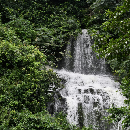 Waterfall in the Ghanaian forest