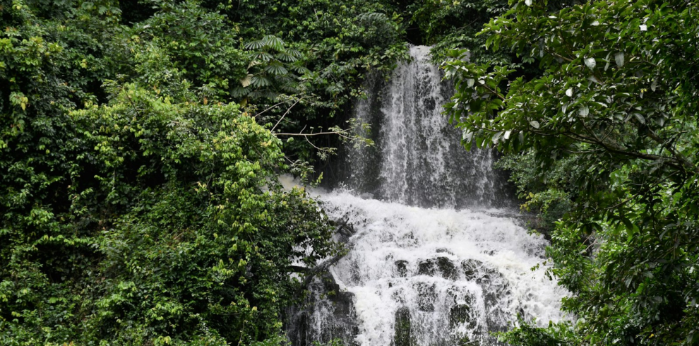 Waterfall in the Ghanaian forest