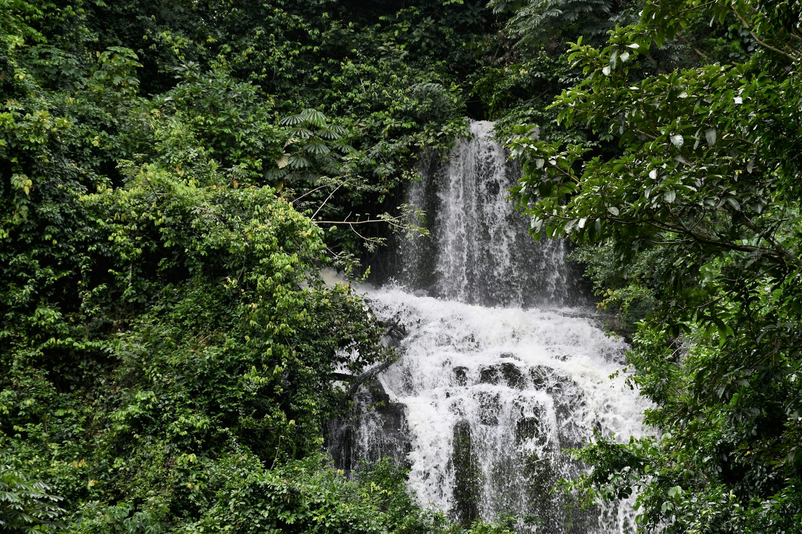 Summer Escape to Ghana