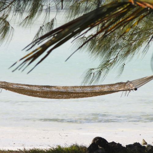 hammock, zanzibar, vacations, sandy beach, paradise, africa, tanzania, exotic, outlook, hammock, hammock, zanzibar, zanzibar, zanzibar, zanzibar, zanzibar