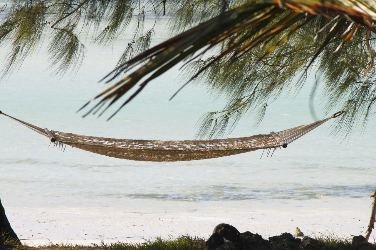 hammock, zanzibar, vacations, sandy beach, paradise, africa, tanzania, exotic, outlook, hammock, hammock, zanzibar, zanzibar, zanzibar, zanzibar, zanzibar