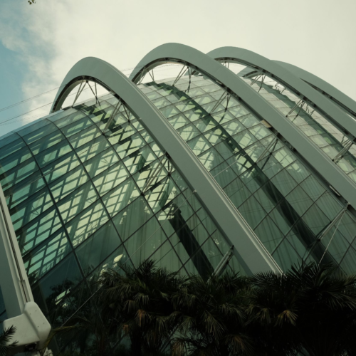 The stunning glass architecture of Gardens by the Bay in Singapore showcases modern design and innovative engineering.