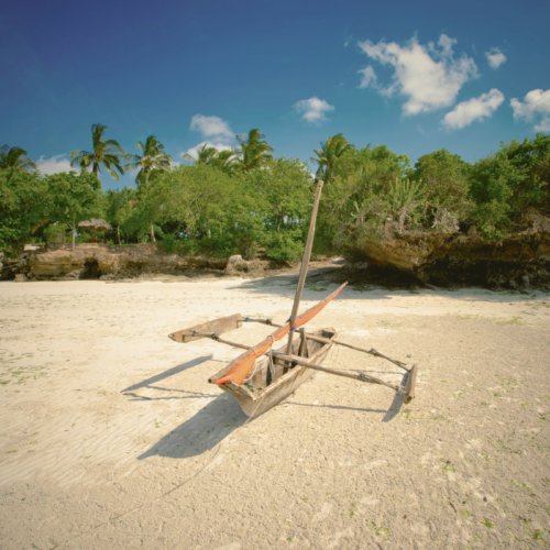 Traditional wooden canoe on a sandy beach in Zanzibar with lush greenery and clear blue sky.
